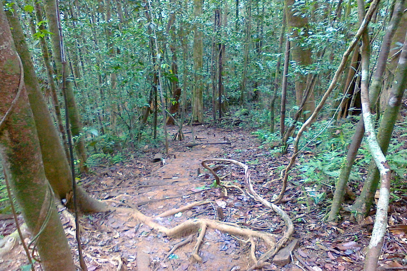 Sri Lanka, Sinharaja